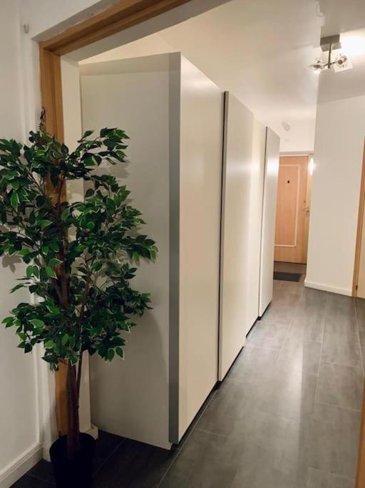 Grand Appartement 2 Chambres 5 Pers Max, Vue Panoramique Avec Parking 牟罗兹 外观 照片
